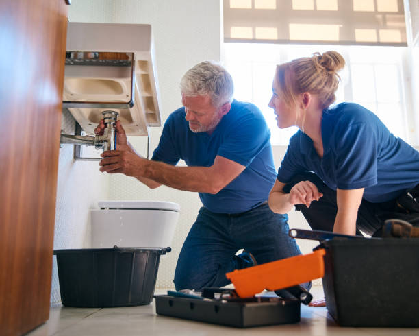 Best Local Plumber Services  in Pion Hills, CA